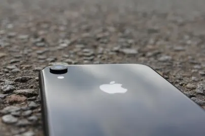 Casino Jungle Raja Mobil App